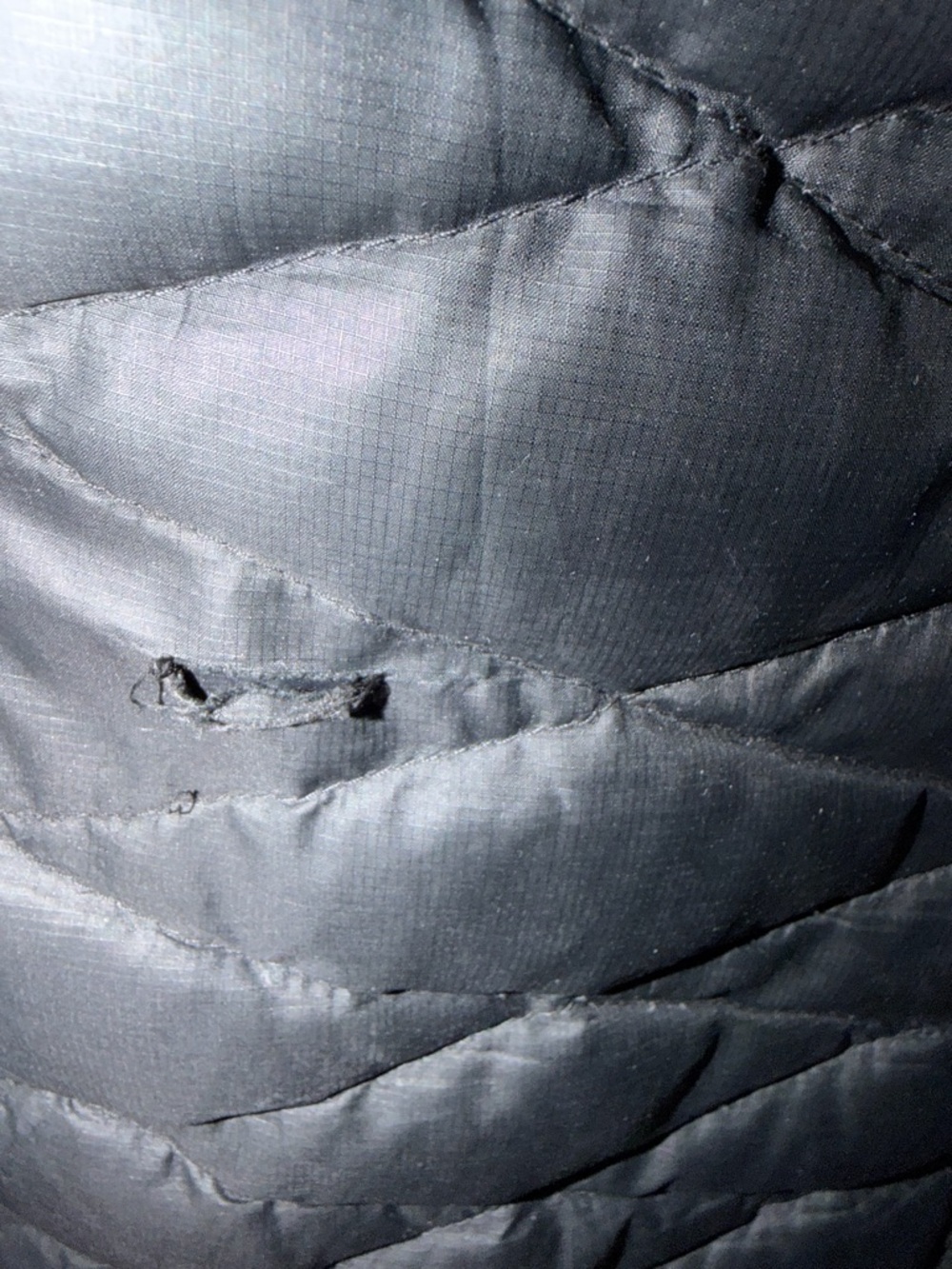 Patagonia Fiona Jacket - Picture 6 of 6